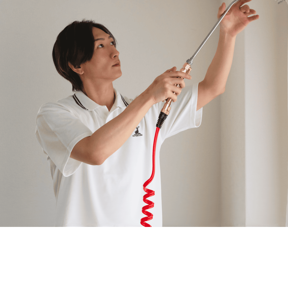 害虫・害獣駆除のバスターズjp